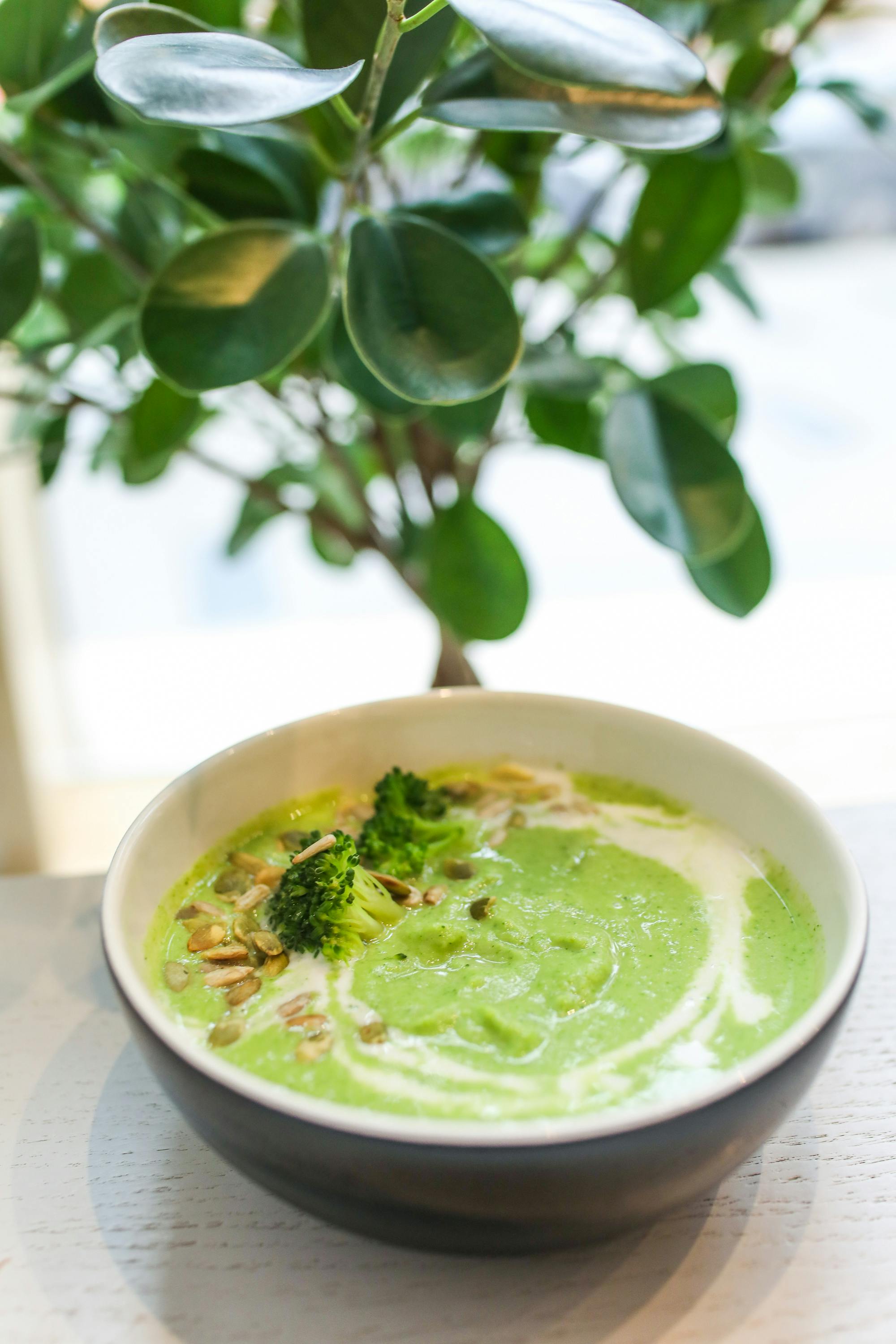 Creamy Broccoli Soup